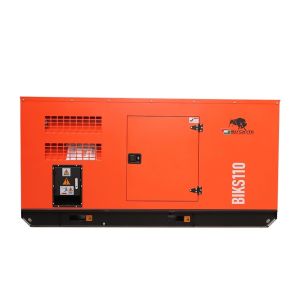Generator insonorizat BISONTE BIKS110, 110 kVA, 400V, ATS inclus