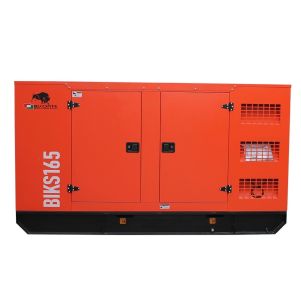 Generator insonorizat BISONTE BIKS165, 165 kVA, 400V, ATS inclus