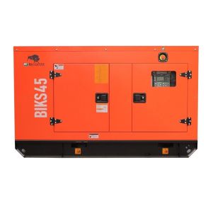 Generator insonorizat BISONTE BIKS45, 44 kVA, 400V, ATS inclus
