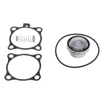 Alup 2901320203-kit mentenanta supapa aspiratie