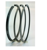 Fini 213115002-set segmenti