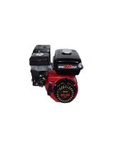 Motor Weima WM170 F/P (1100C) AX caneluri lung, 7 CP