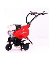Motosapa PUBERT ELITE PRO 55HC2
